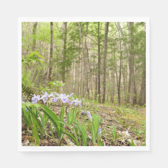 Smoky Mountain Trail in Spring Napkins (Front)