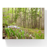 Smoky Mountain Trail in Spring Paperweight