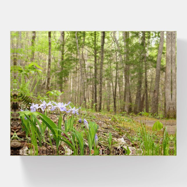 Smoky Mountain Trail in Spring Paperweight (Front)