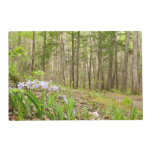 Smoky Mountain Trail in Spring Placemat