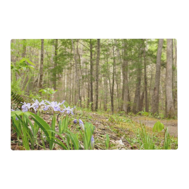 Smoky Mountain Trail in Spring Placemat (Front)