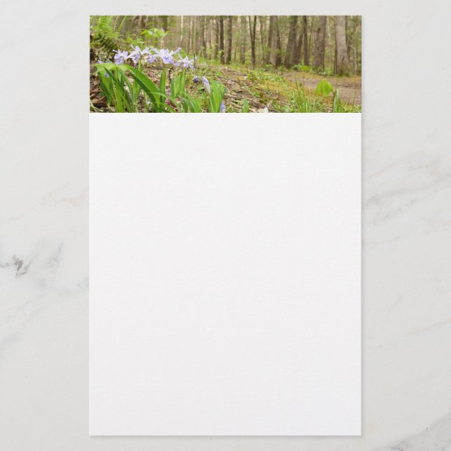 Smoky Mountain Trail in Spring Stationery (Front)