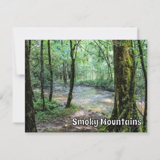 Smoky Mountains Cataract Falls Hiking Trail View 