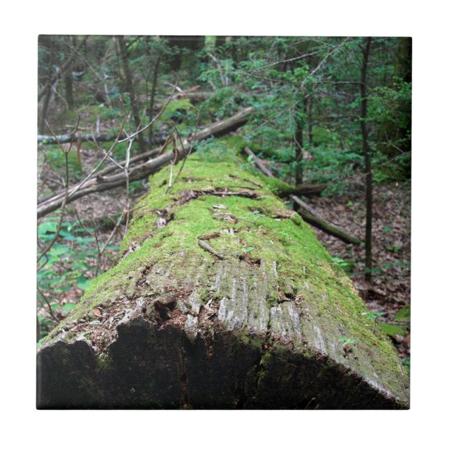 Smoky Mountains Ceramic Tile (Front)