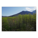 Smoky Mountains in Spring Landscape