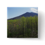 Smoky Mountains in Spring Landscape Button