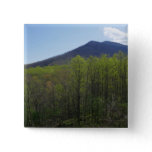 Smoky Mountains in Spring Landscape Button