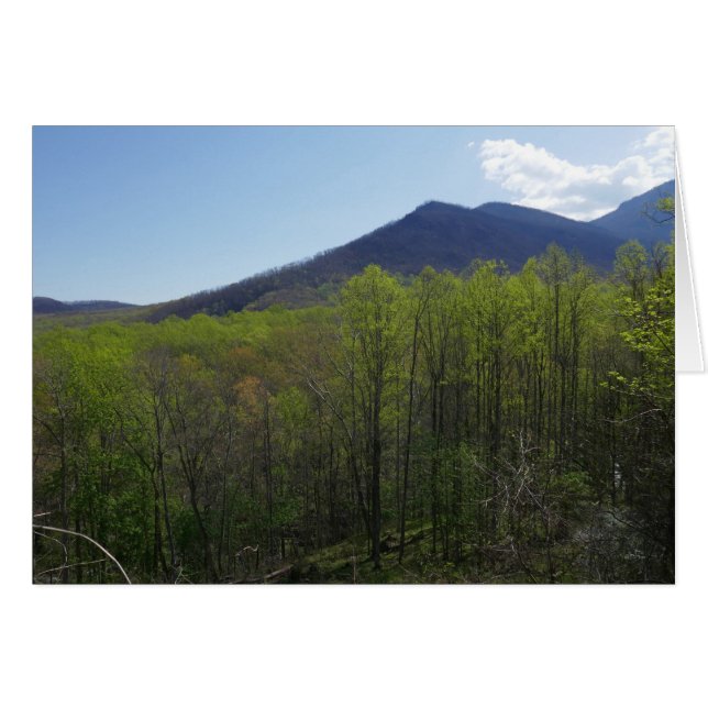Smoky Mountains in Spring Landscape Cards (Front Horizontal)