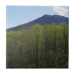 Smoky Mountains in Spring Landscape Ceramic Tile