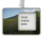 Smoky Mountains in Spring Landscape Christmas Ornament