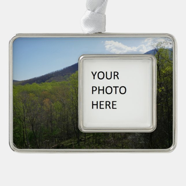 Smoky Mountains in Spring Landscape Christmas Ornament (Front)