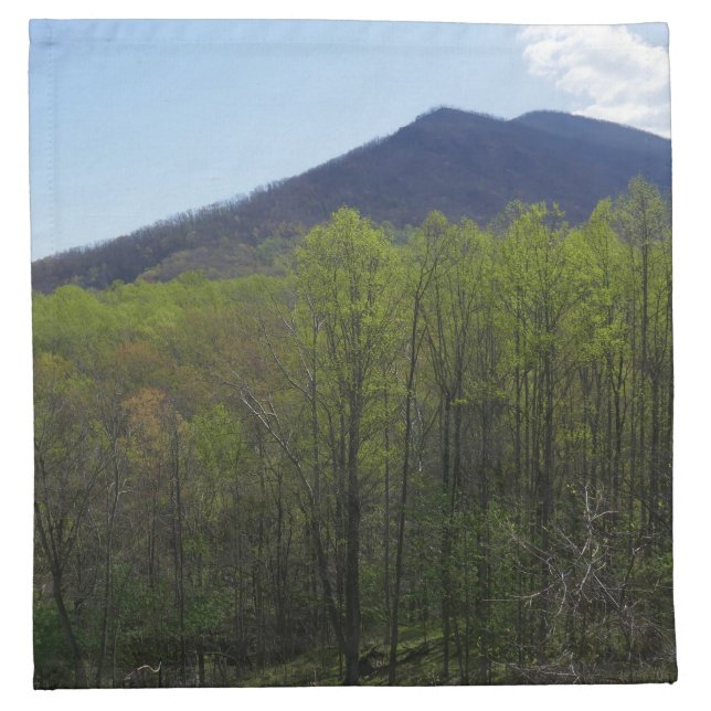 Smoky Mountains in Spring Landscape Cloth Napkin (Front)