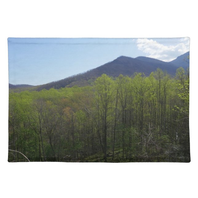 Smoky Mountains in Spring Landscape Cloth Placemat (Front)
