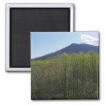 Smoky Mountains in Spring Landscape Magnet