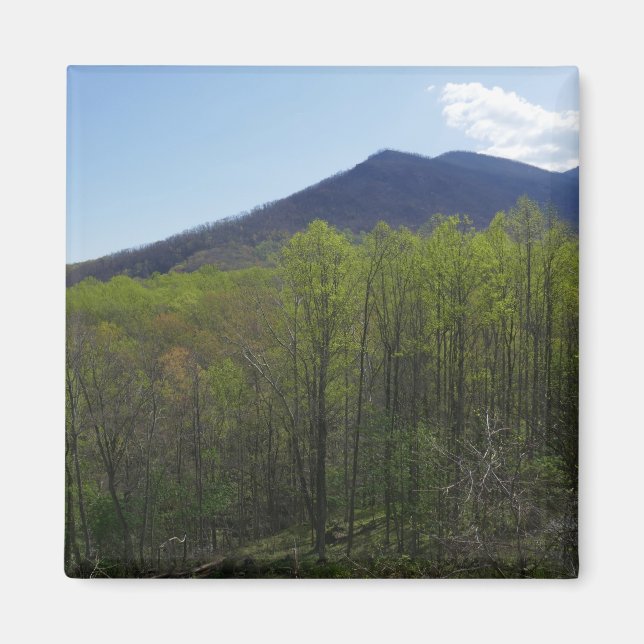 Smoky Mountains in Spring Landscape Magnet (Front)