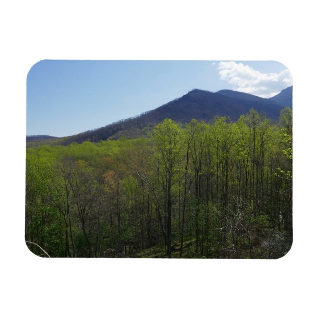 Smoky Mountains in Spring Landscape Magnet (Horizontal)