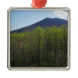 Smoky Mountains in Spring Landscape Metal Ornament