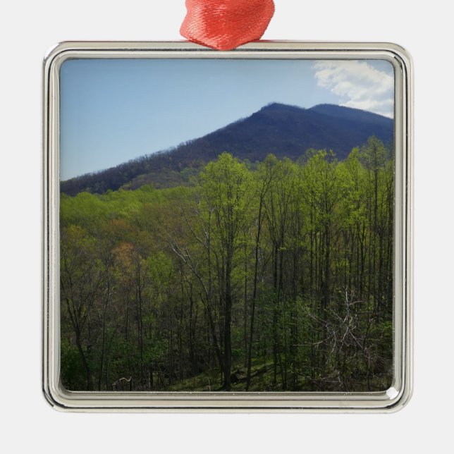 Smoky Mountains in Spring Landscape Metal Ornament (Front)