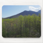 Smoky Mountains in Spring Landscape Mouse Pad