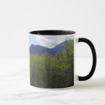 Smoky Mountains in Spring Landscape Mug