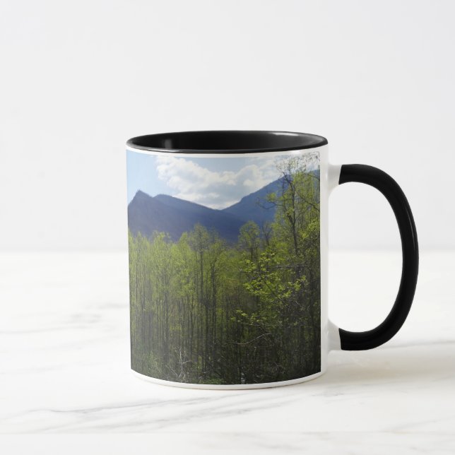 Smoky Mountains in Spring Landscape Mug (Right)
