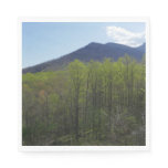 Smoky Mountains in Spring Landscape Napkins