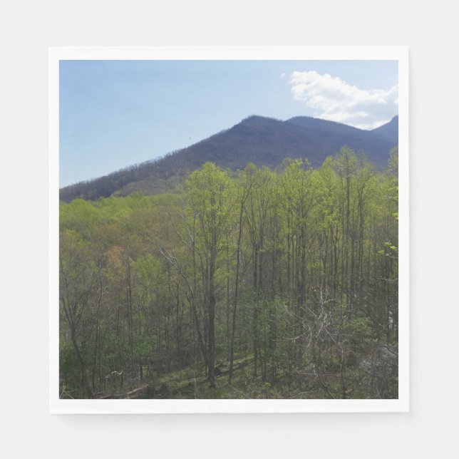 Smoky Mountains in Spring Landscape Napkins (Front)