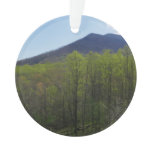 Smoky Mountains in Spring Landscape Ornament