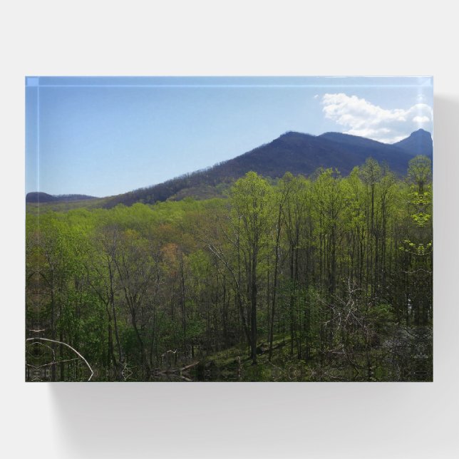 Smoky Mountains in Spring Landscape Paperweight (Front)