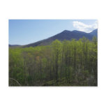 Smoky Mountains in Spring Landscape Postcard