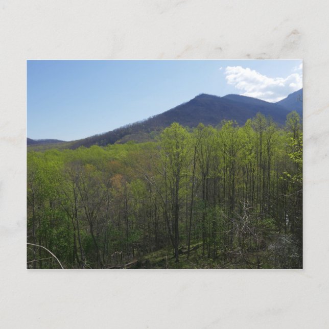 Smoky Mountains in Spring Landscape Postcard (Front)