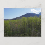 Smoky Mountains in Spring Landscape Postcard