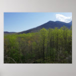 Smoky Mountains in Spring Landscape Poster