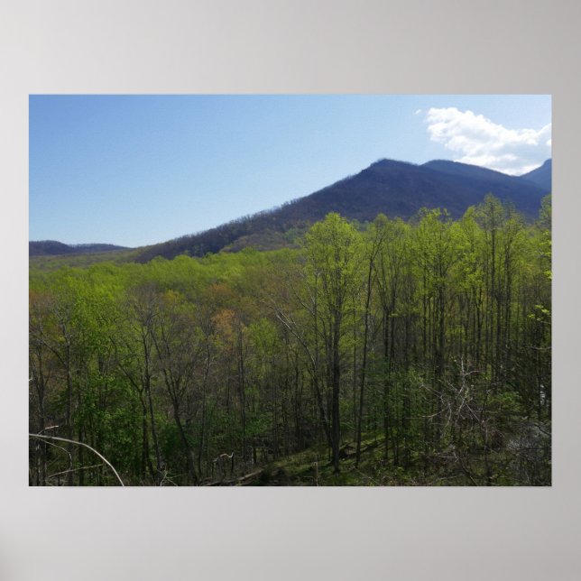 Smoky Mountains in Spring Landscape Poster (Front)