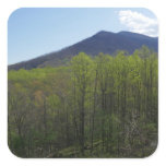 Smoky Mountains in Spring Landscape Square Sticker