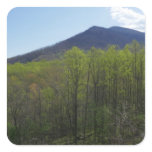 Smoky Mountains in Spring Landscape Square Sticker