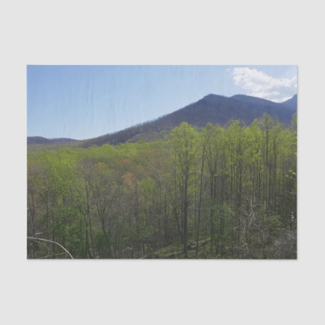 Smoky Mountains in Spring Landscape Tissue Paper (Front)