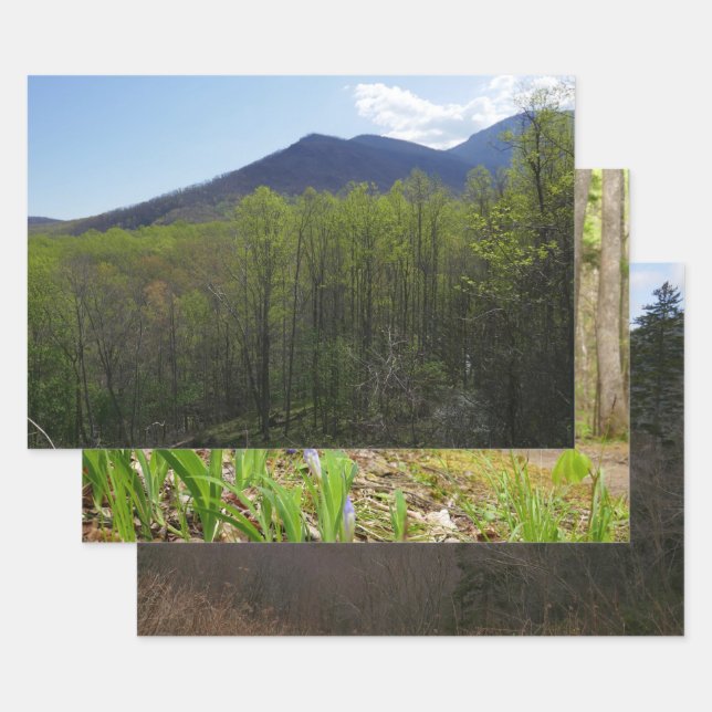 Smoky Mountains in Spring Landscape Wrapping Paper Sheets (Set)