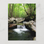Smoky Mountains Postcard
