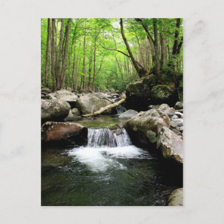 Smoky Mountains Postcard
