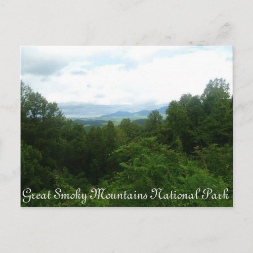 Smoky Mountains Postcard