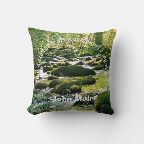 Smoky Mountains Stream _ John Muir Quote Throw Pillow