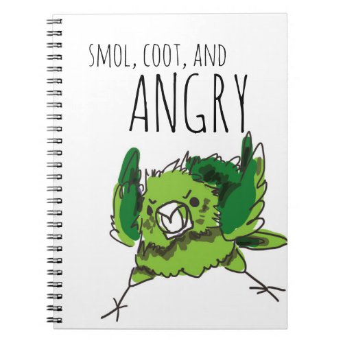 Smol Coot and Angry Notebook
