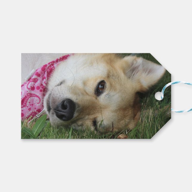 Smoochie Gift Tags (Front (Horizontal))