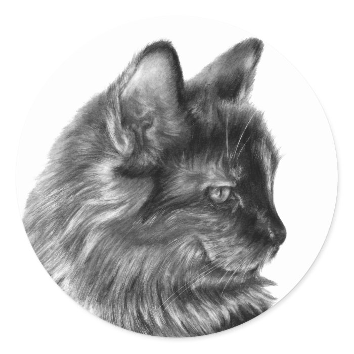 Smooschie, Long Haired Tortoise Shell Cat Stickers