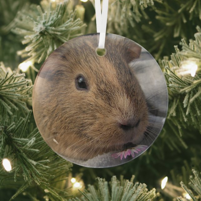 Smooth, Agouti Guinea Pig and Pink Flower Glass Ornament (Insitu)