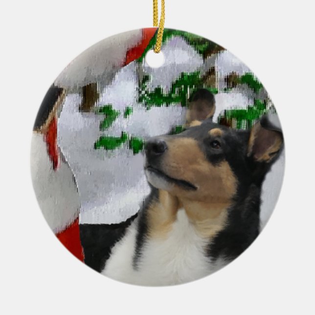 Smooth Collie Christmas Gifts Ornament (Front)