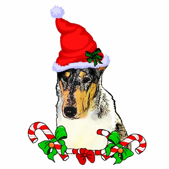 Smooth Collie Christmas Gifts Ornament (Front)