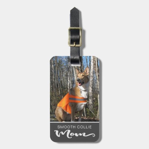 Smooth Collie Mom Insert Your Dogs Photo Luggage Tag