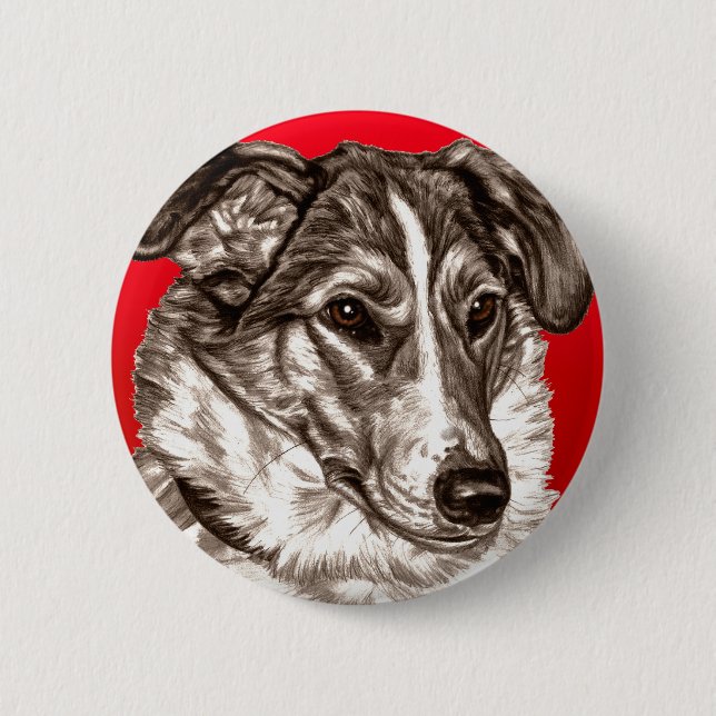Smooth Collie Portrait Pinback Button (Front)